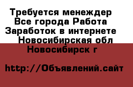 Требуется менеждер - Все города Работа » Заработок в интернете   . Новосибирская обл.,Новосибирск г.